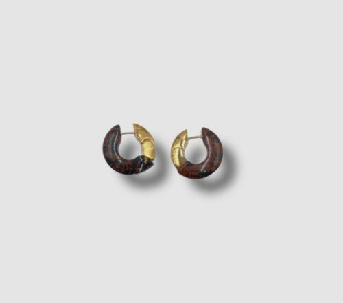 Earrings in Brown