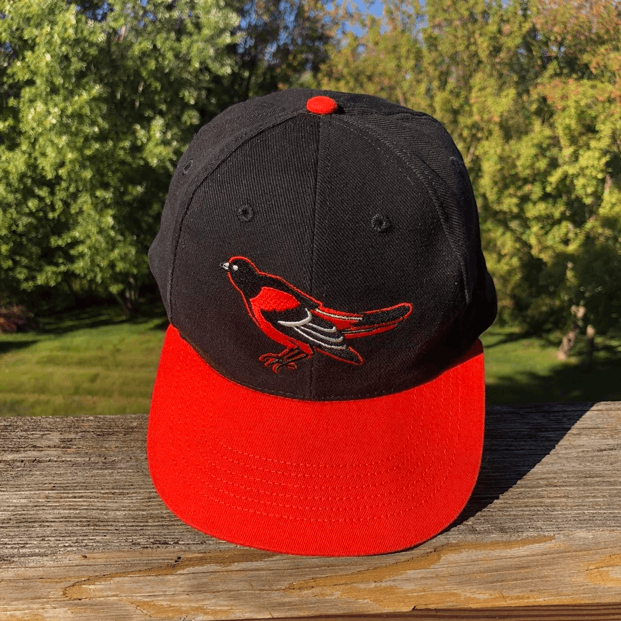 Vintage Starter Baltimore Orioles OLD BIRD Logo Black Snap