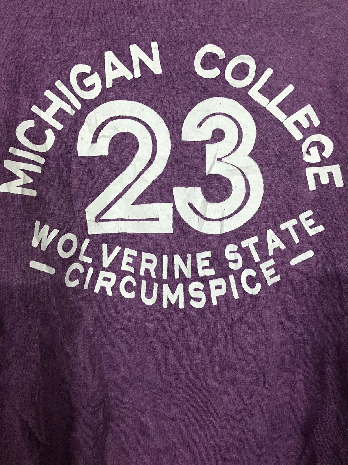 Wolverine Vintage Panhard Michigan College Sweatshirt Crewneck Size US L / EU 52-54 / 3 - 4 Thumbnail
