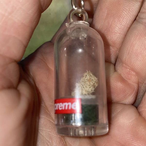 Cactus store keychain supreme