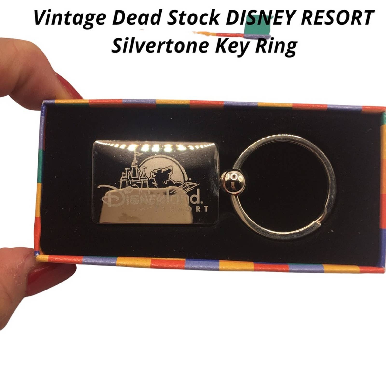 Disney Boxed Vintage New Dead Stock Disney Resort Souvenir Key Ring ...