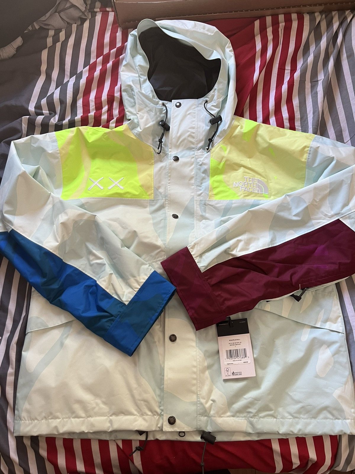 Kaws xx The North Face