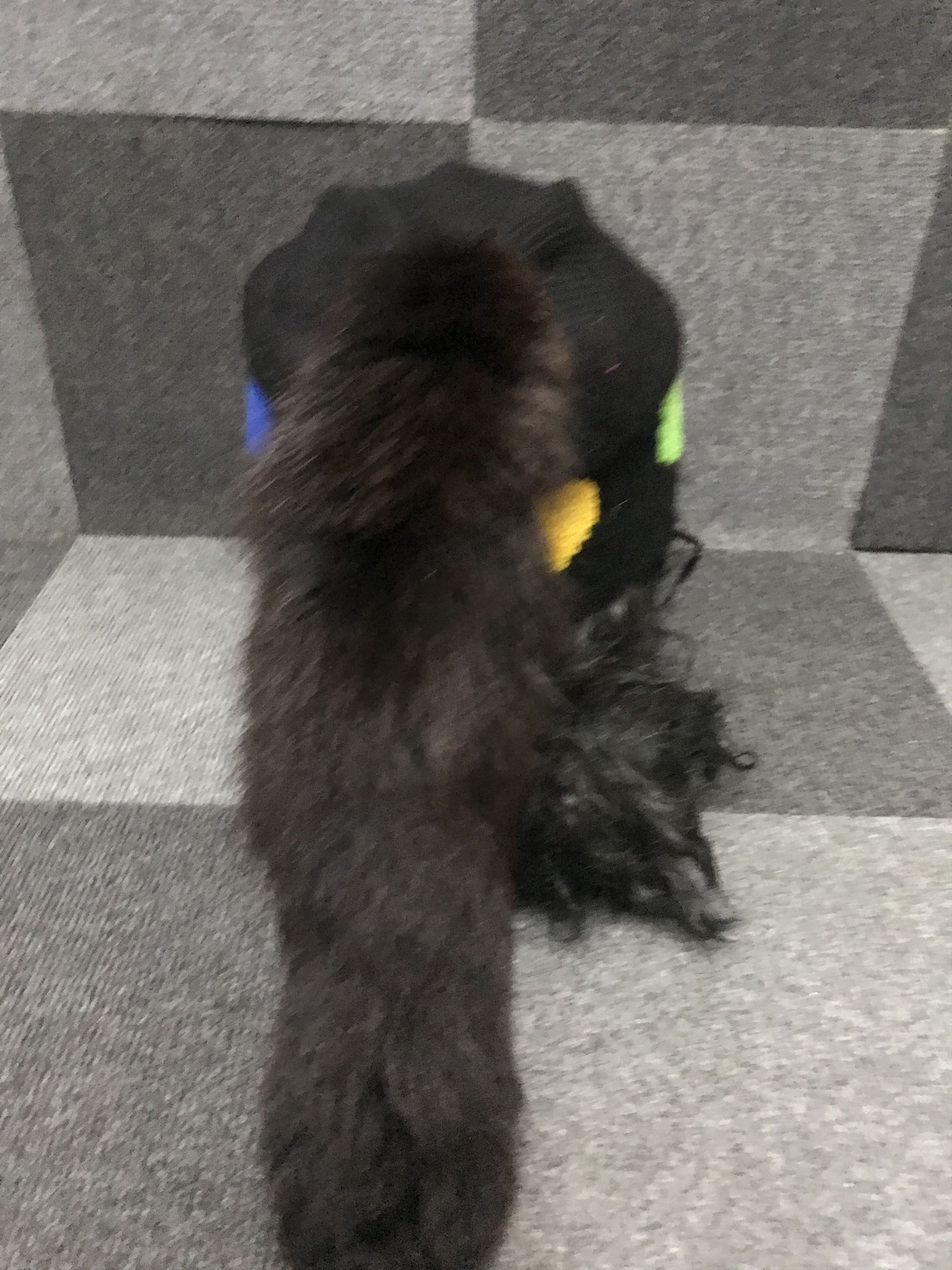Japanese Brand BSC140 Very Rare YOKO LOVE Beanie With Tail Size ONE SIZE - 4 Thumbnail