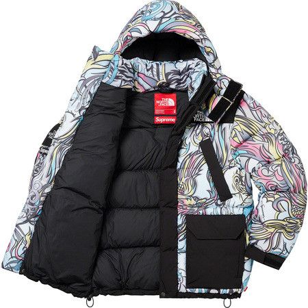 Supreme x The North Face 700-Fill Down Parka XL M Dragon