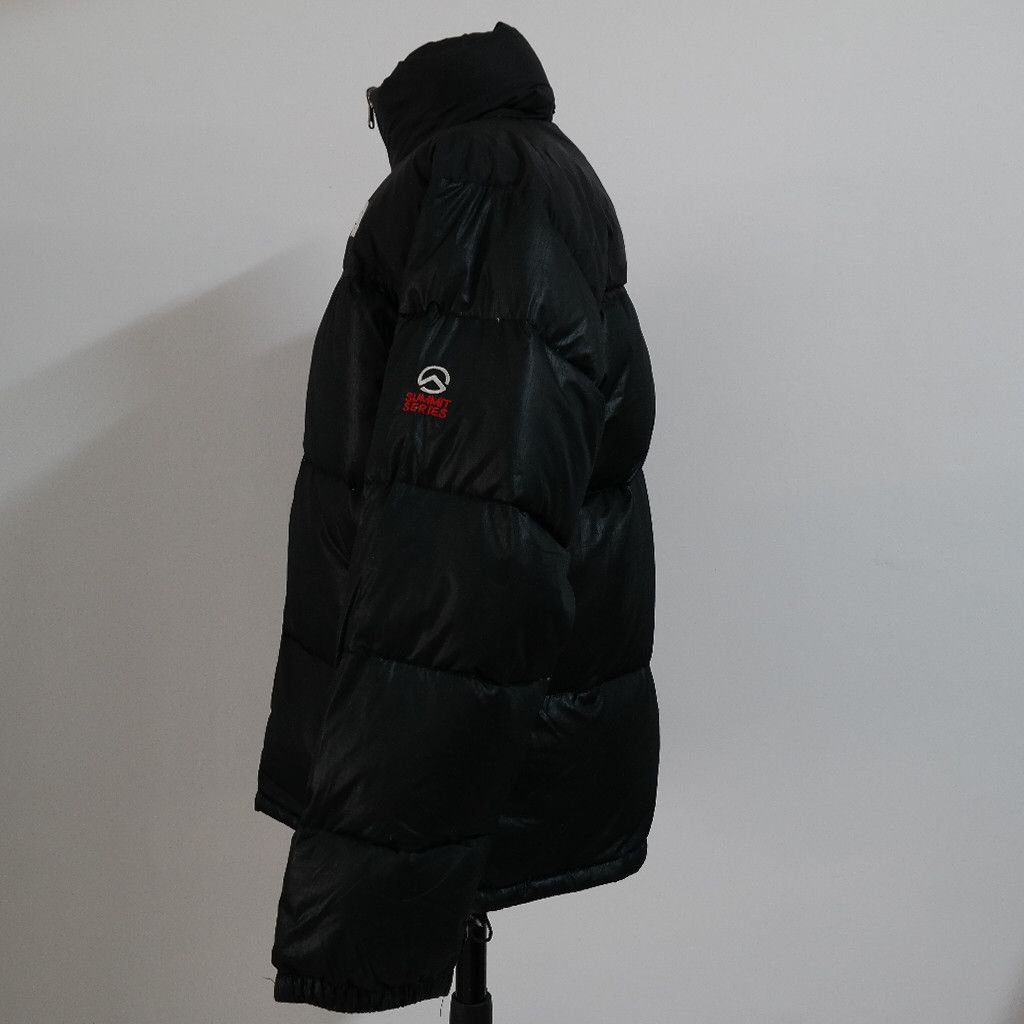 North face summit series 900 ltd down jacket best sale