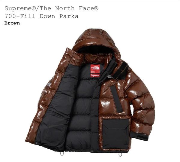 Supreme Supreme/The North Face 700-Fill Down Parka | Grailed