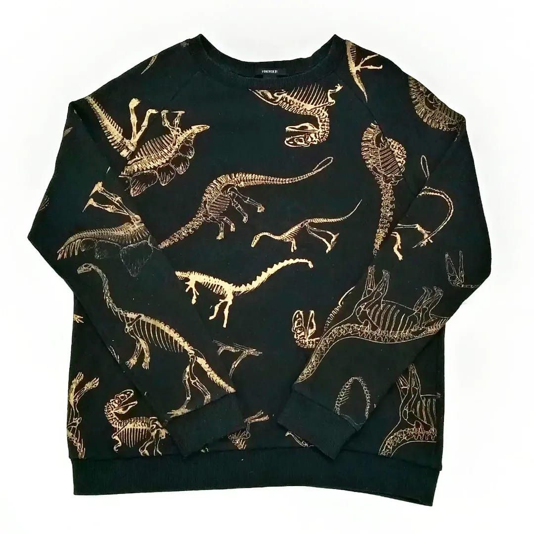 Forever 21 cheap dinosaur sweatshirt