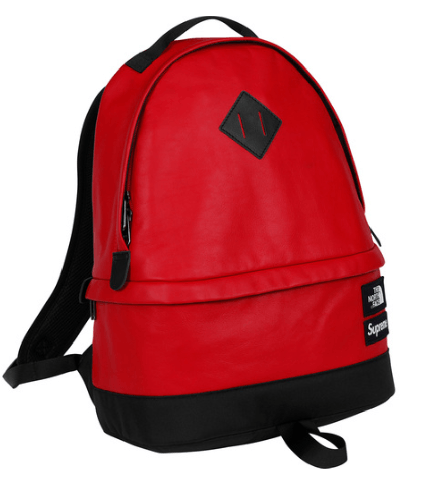 Supreme The North Face Leather Day Pack | Grailed