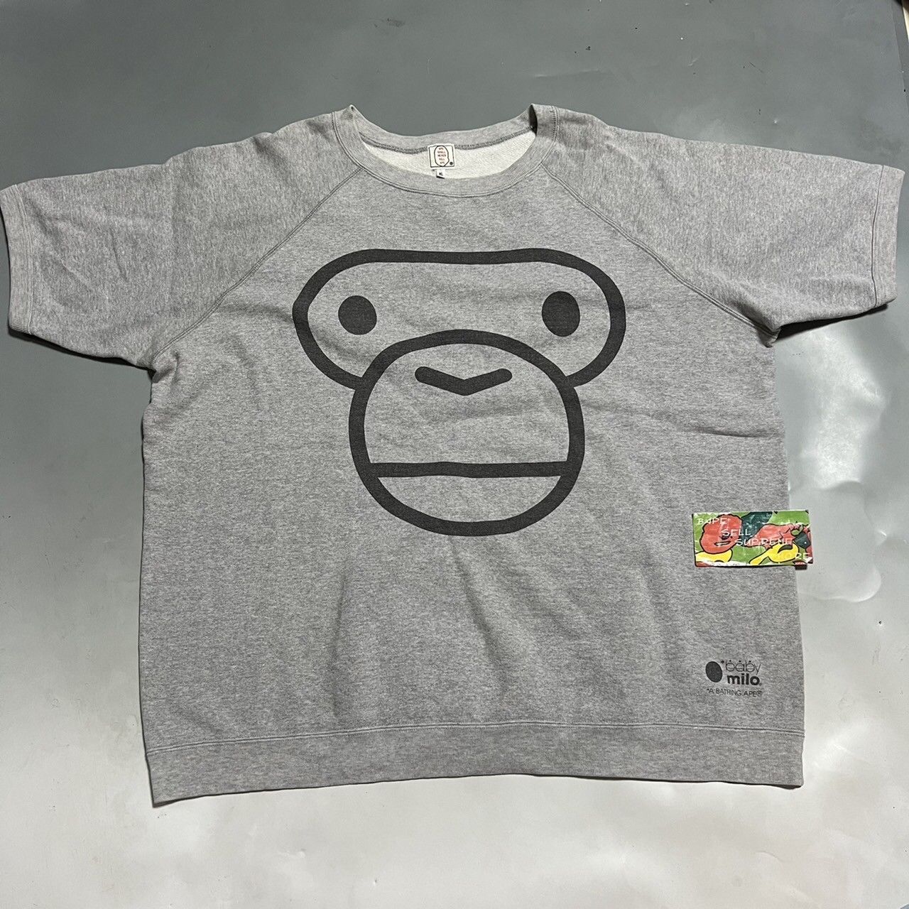 BAPE Milo sweat tee gray