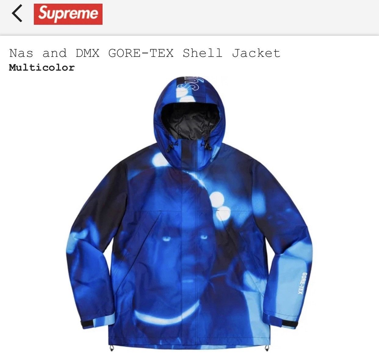 Supreme Nas and Dmx Gore-Tex Shell Jacket Size Large | Grailed