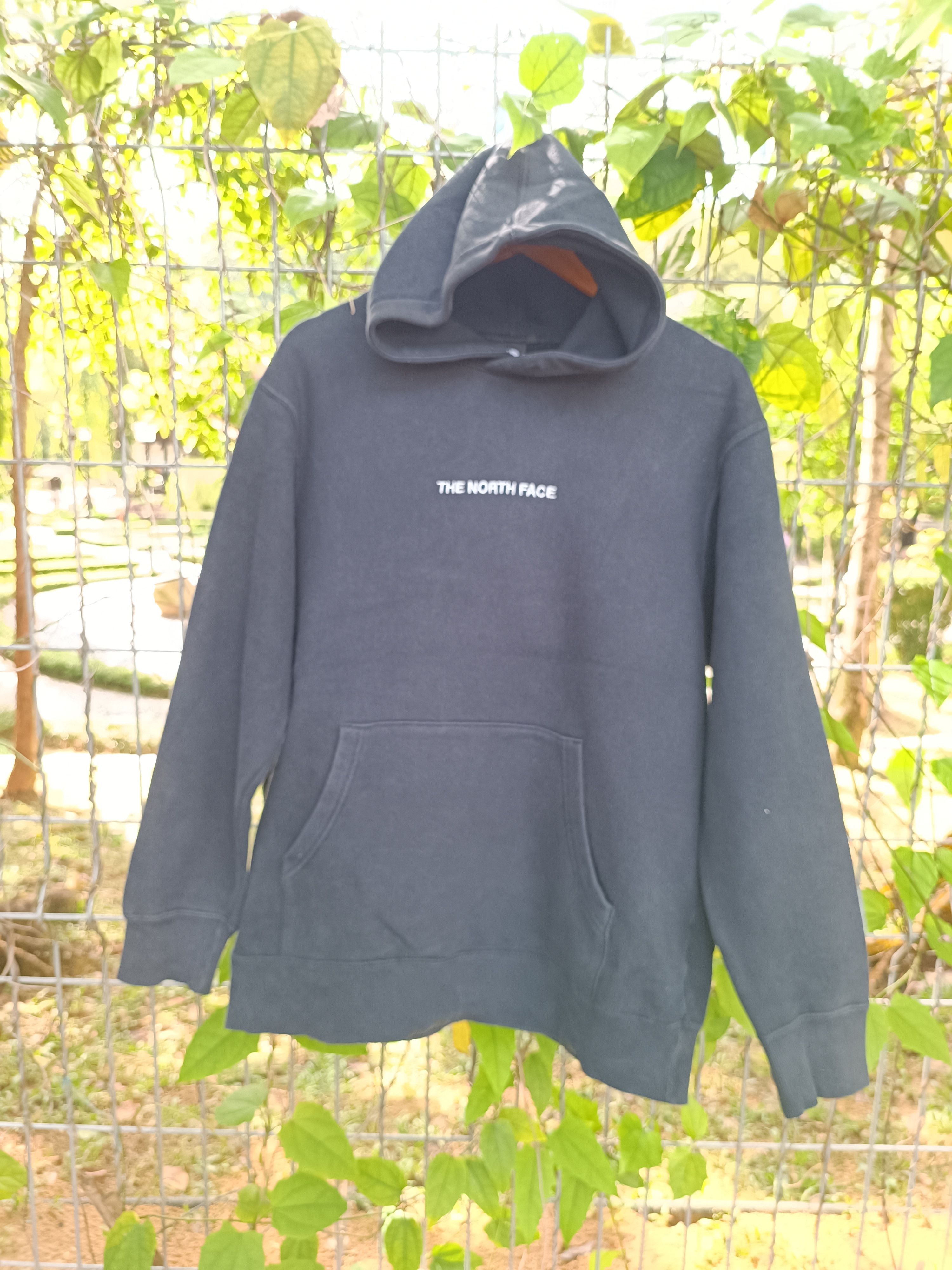 HOODIES THE NORTH FACE