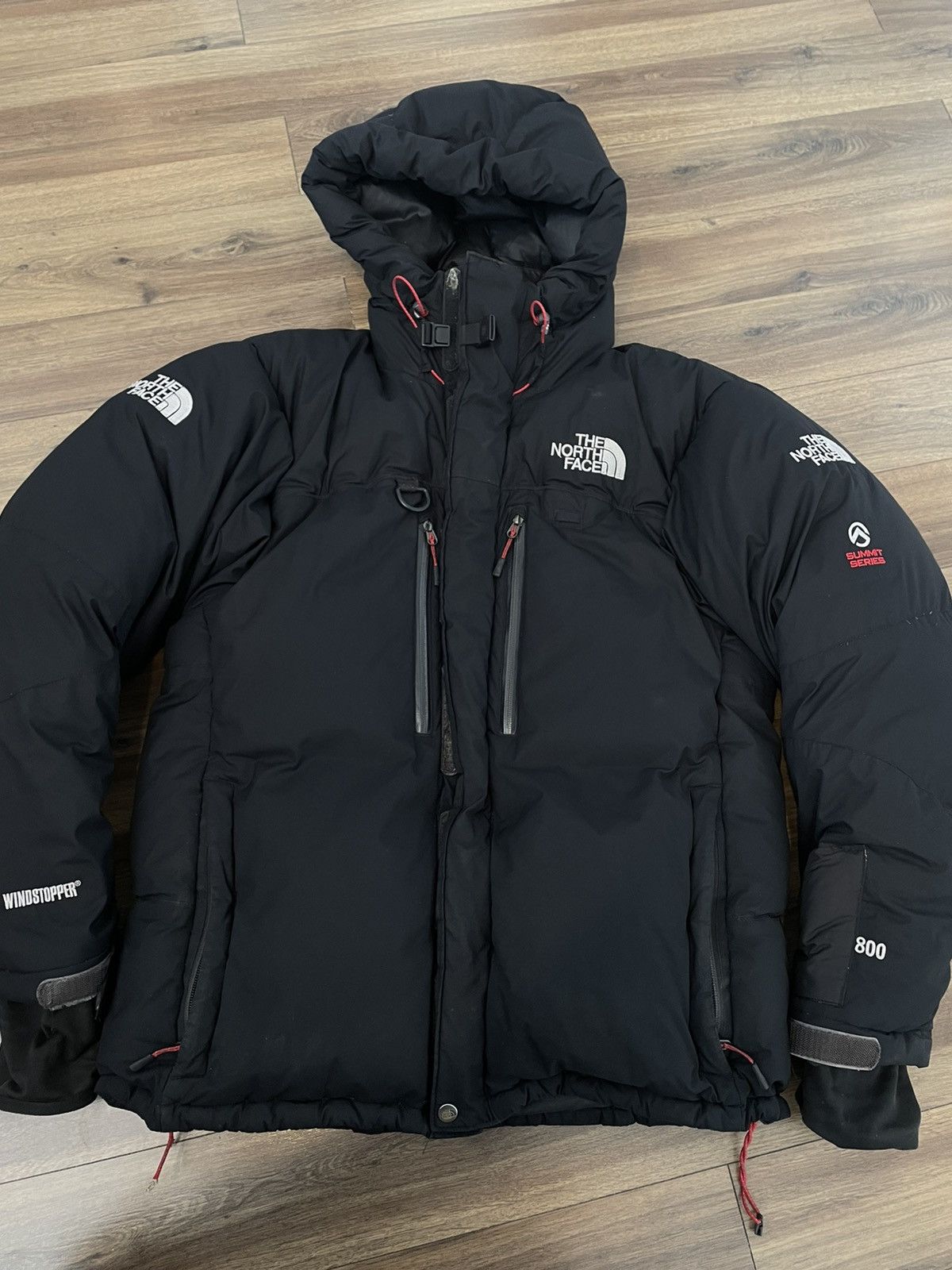 The north face himalayan best sale parka summit series 800