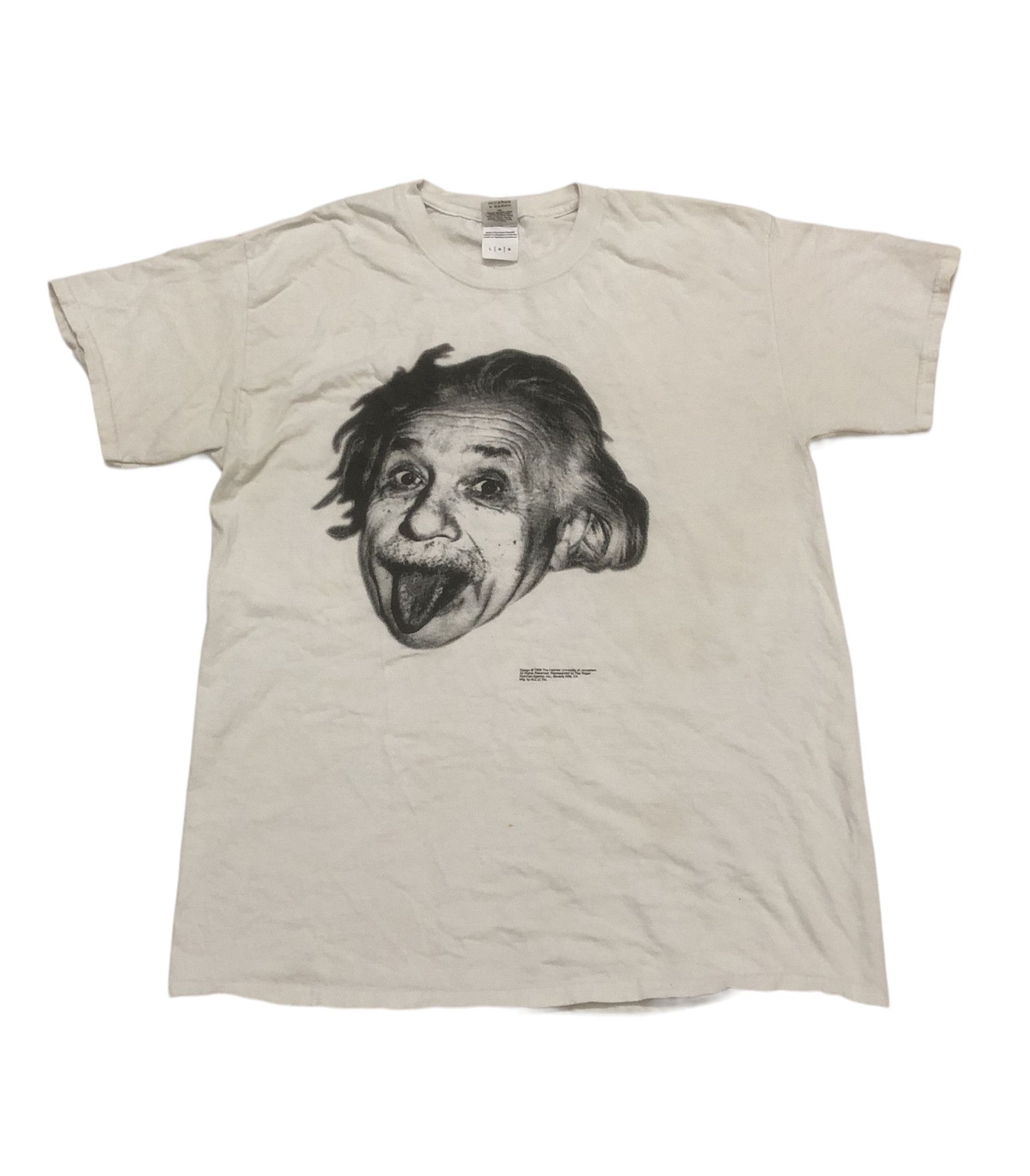 Vintage Albert Einstein Portrait Scientists Famous Pop Art