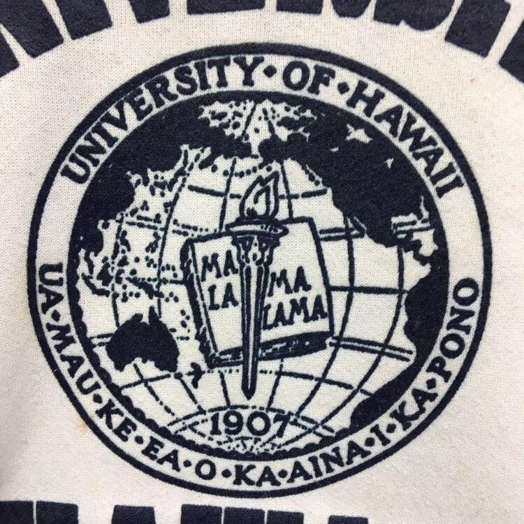 Hanes Vintage 90s University Hawaii Crewneck Sweatshirt Size US XL / EU 56 / 4 - 7 Thumbnail