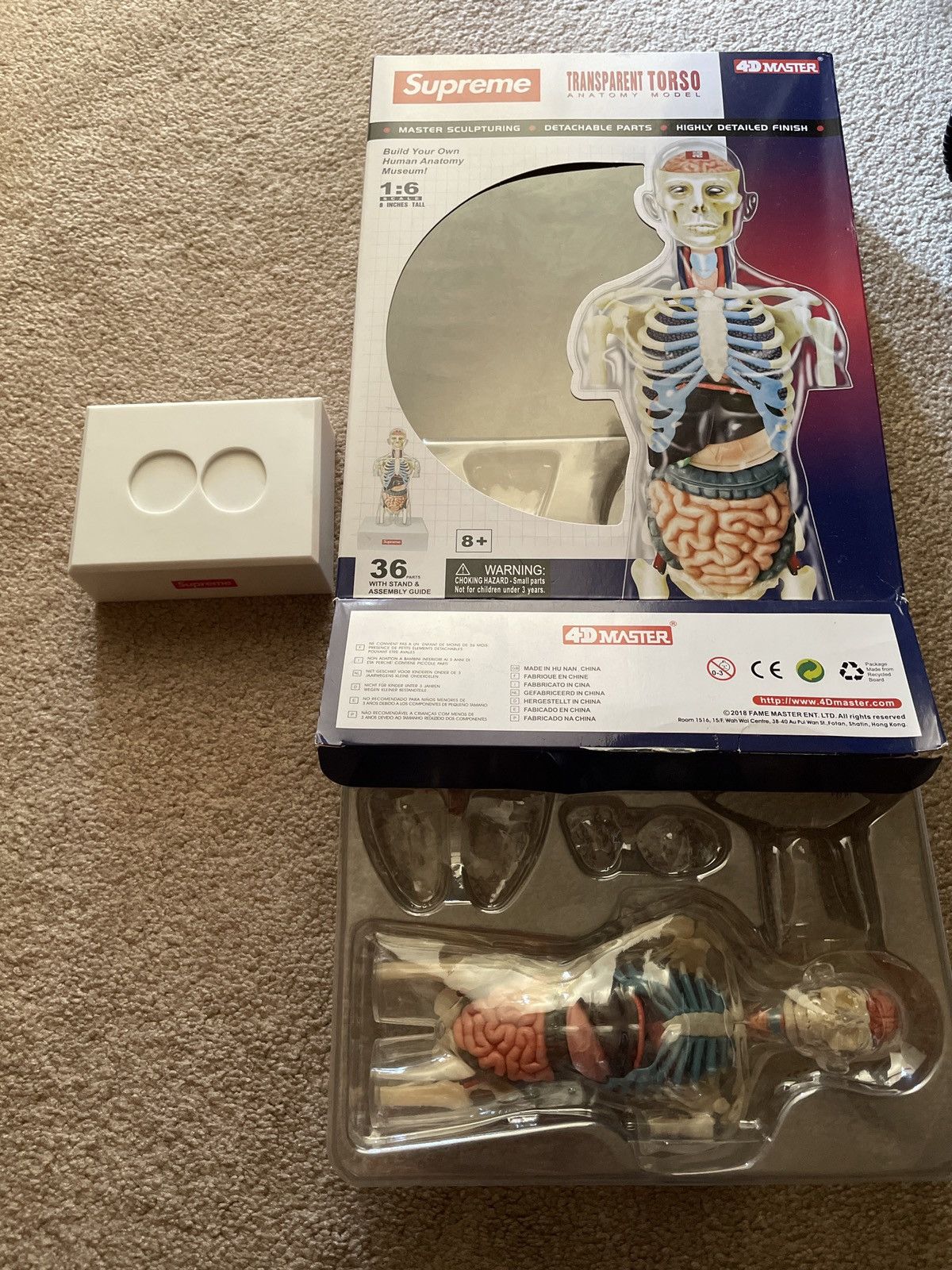 Supreme Supreme Male anatomy model | Grailed