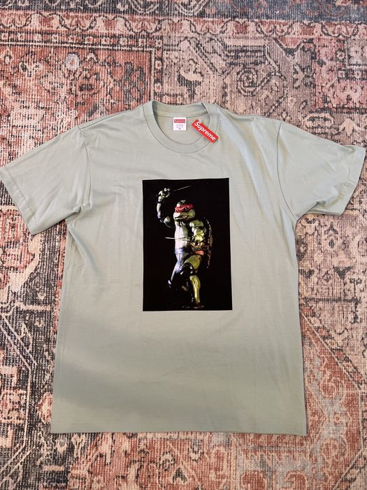 Supreme Supreme Raphael Tee - Green - Medium | Grailed