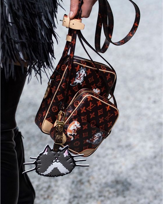 Louis Vuitton x Grace Coddington Catogram Paname Camera Bag