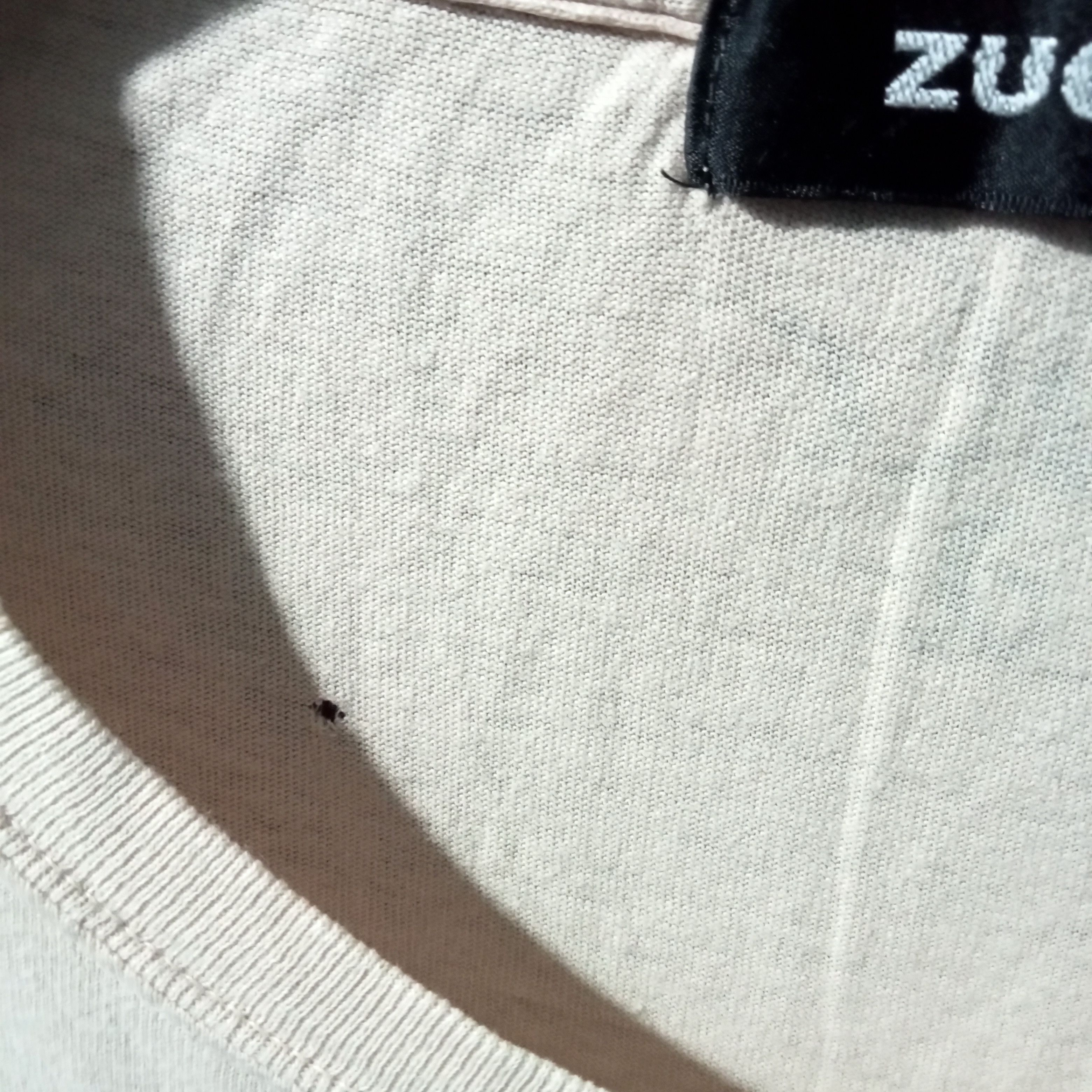 CABANE de ZUCCa × Japanese Brand × Zucca Traveler Like A Rolling Stone Zucca T-shirt Size M / US 6-8 / IT 42-44 - 10 Thumbnail