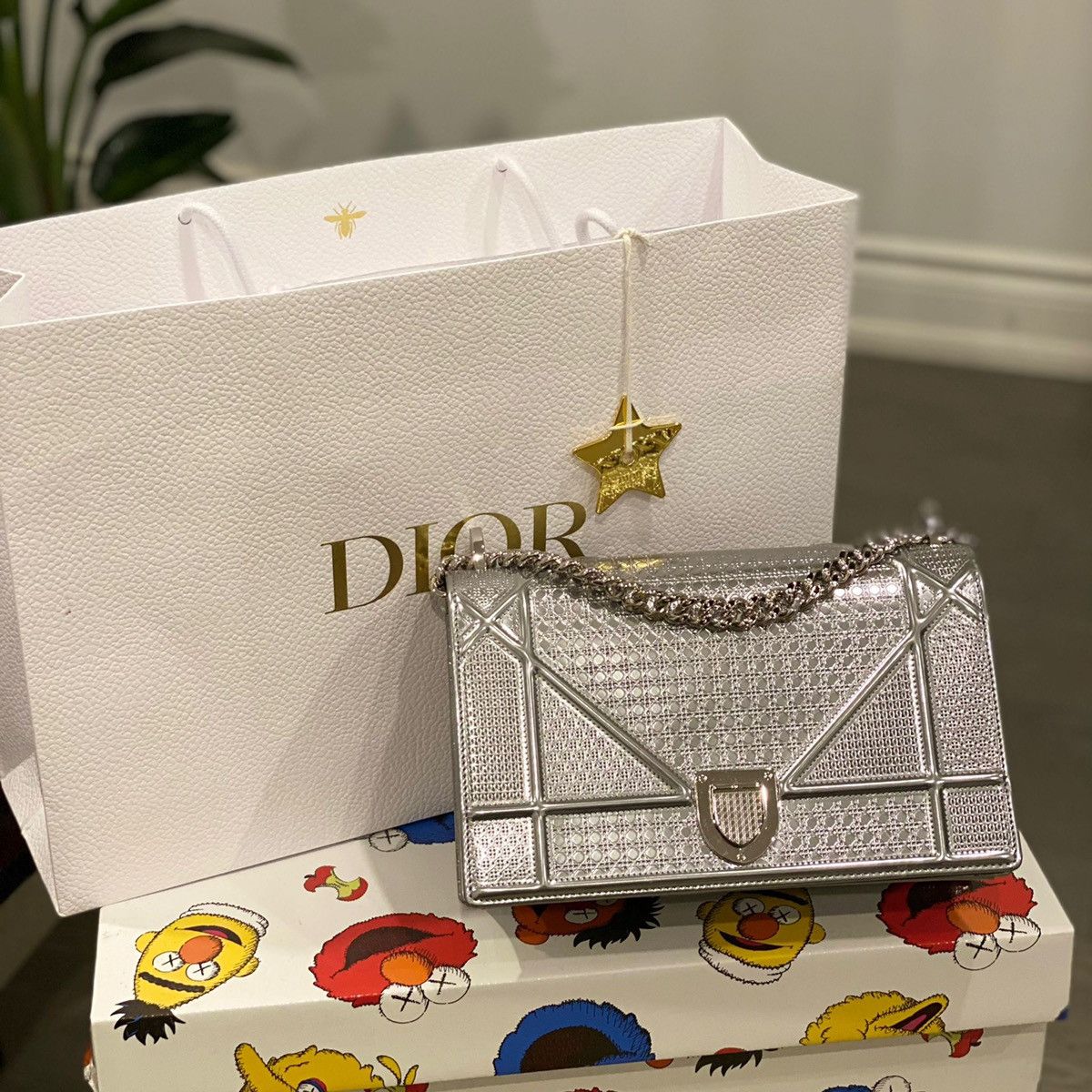 image of Dior Diorama Bag in Silver, Women's