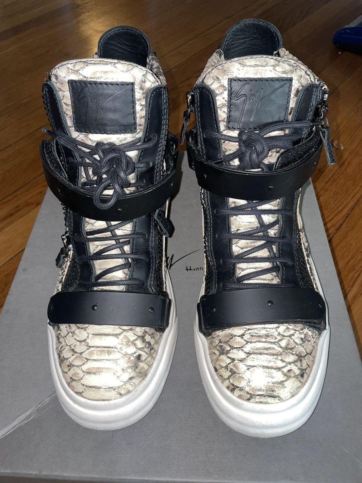 giuseppe zanotti snake