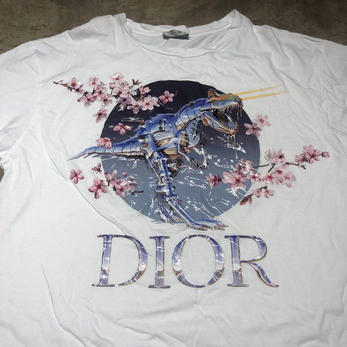 dior high tops dinosaur