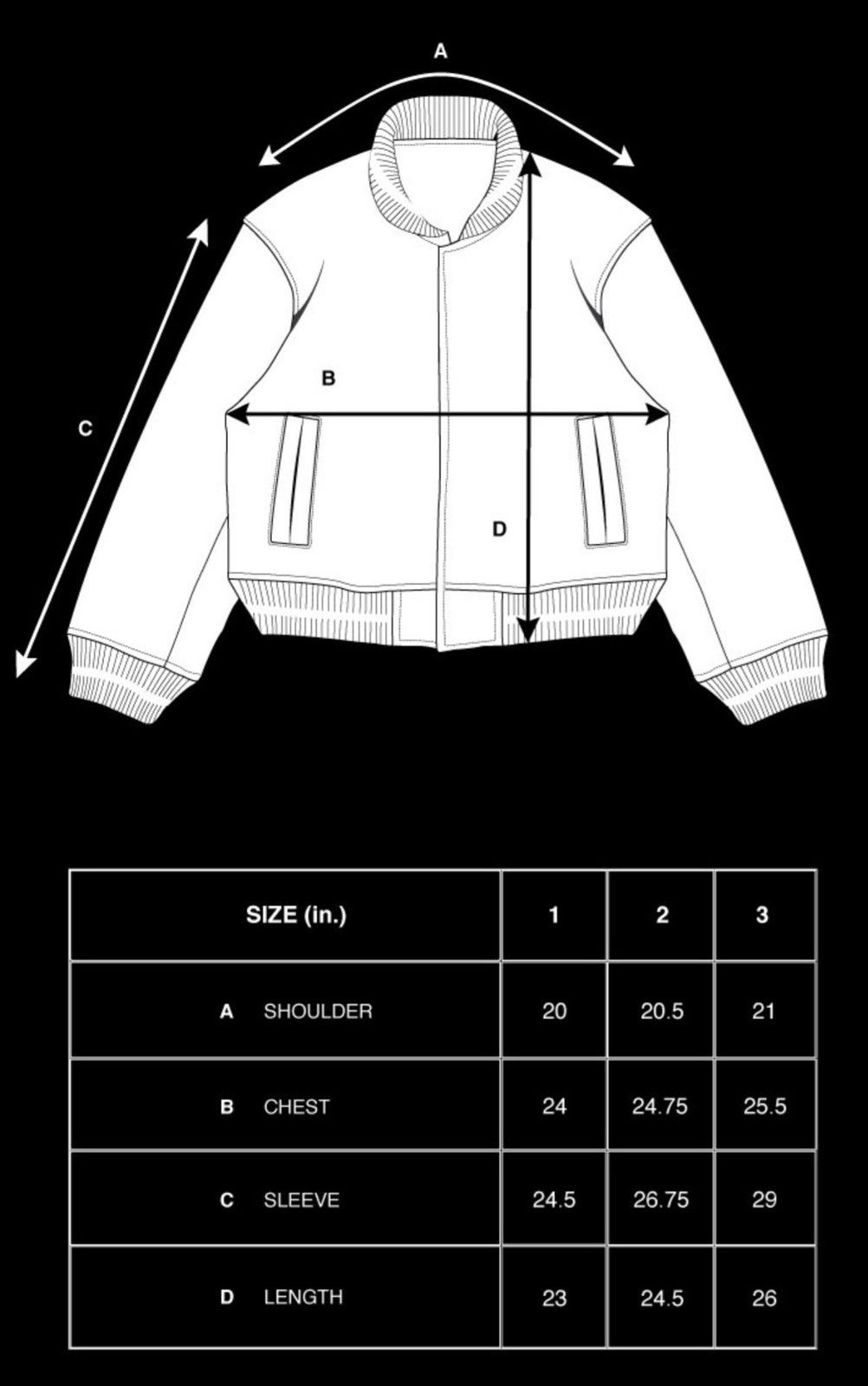 Proleta Re Art × Vuja De VUJA DÉ x PROLETA RE ART 'Winter Wind' Varsity Jacket Size US L / EU 52-54 / 3 - 11 Thumbnail