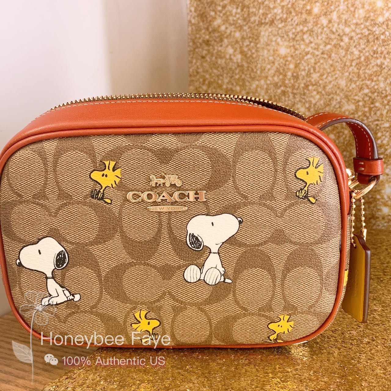 Coach X Peanuts Mini Jamie Camera deals Bag In Signature Canvas With Snoopy Woodstock