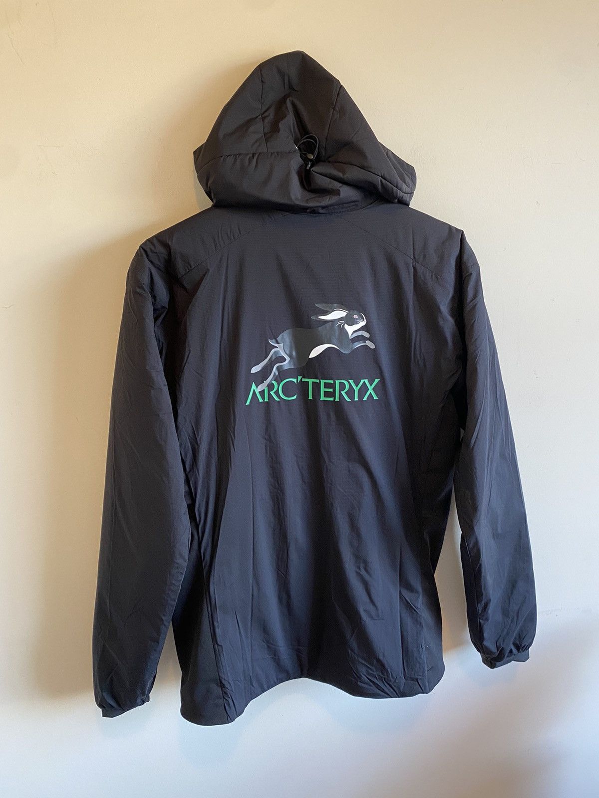 Arc'teryx Unreleased Sample LNY Lunar New Year Atom LT Hoody Rabbit ...
