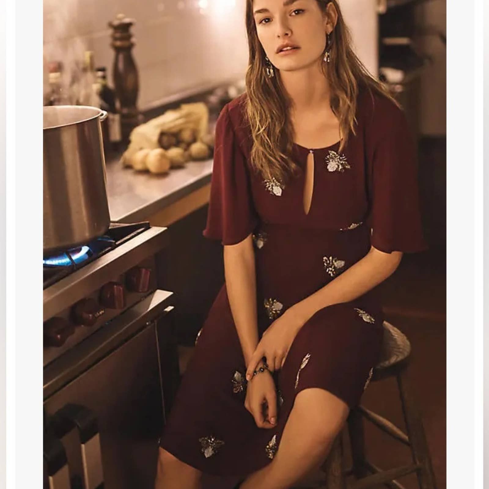 Anthropologi Moulinette Soeurs Burgundy Beaded Firefly Dress