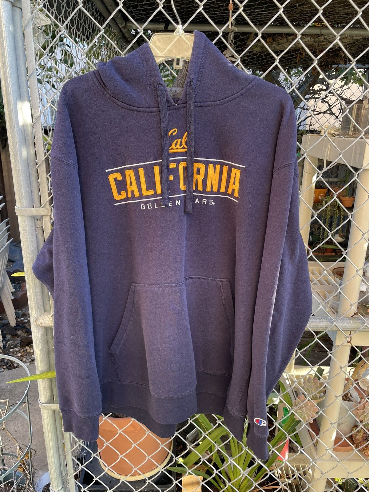 Champion Champion UC Berkeley Hoodie | Grailed