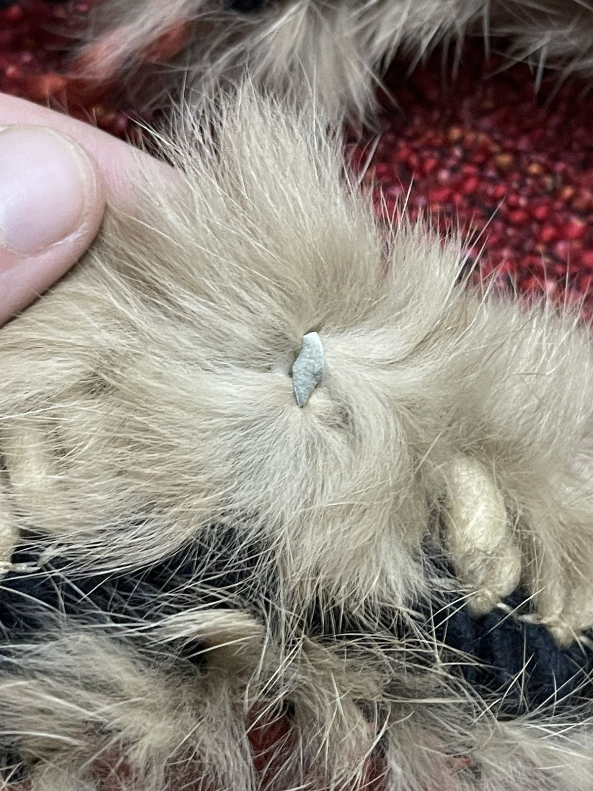 Other Real fur boho style scarf Size ONE SIZE - 3 Thumbnail