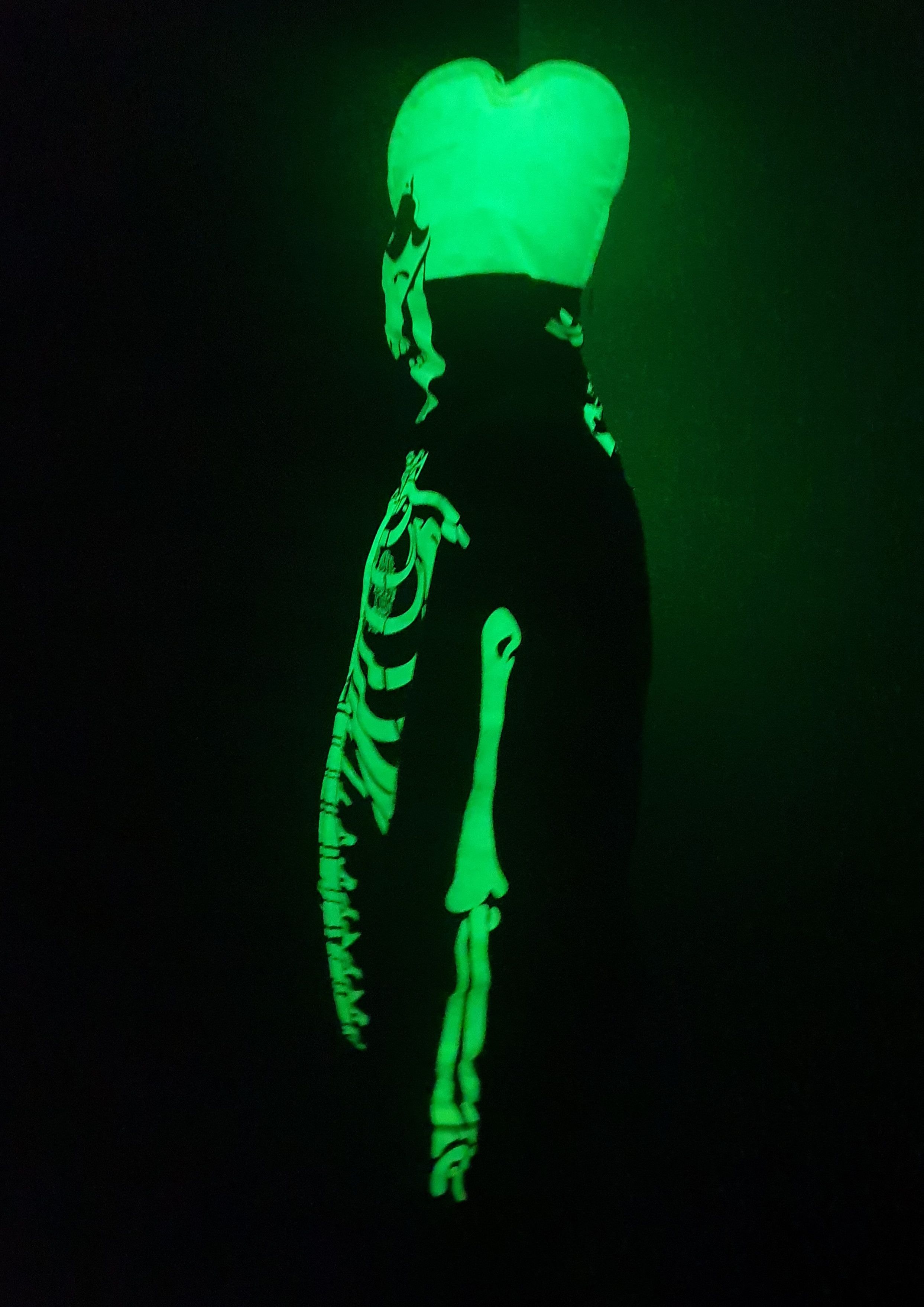 LRG × Vintage Vintage LRG Zip Hoodie skeleton Kanye west glow in the dark Size US XXL / EU 58 / 5 - 3 Thumbnail