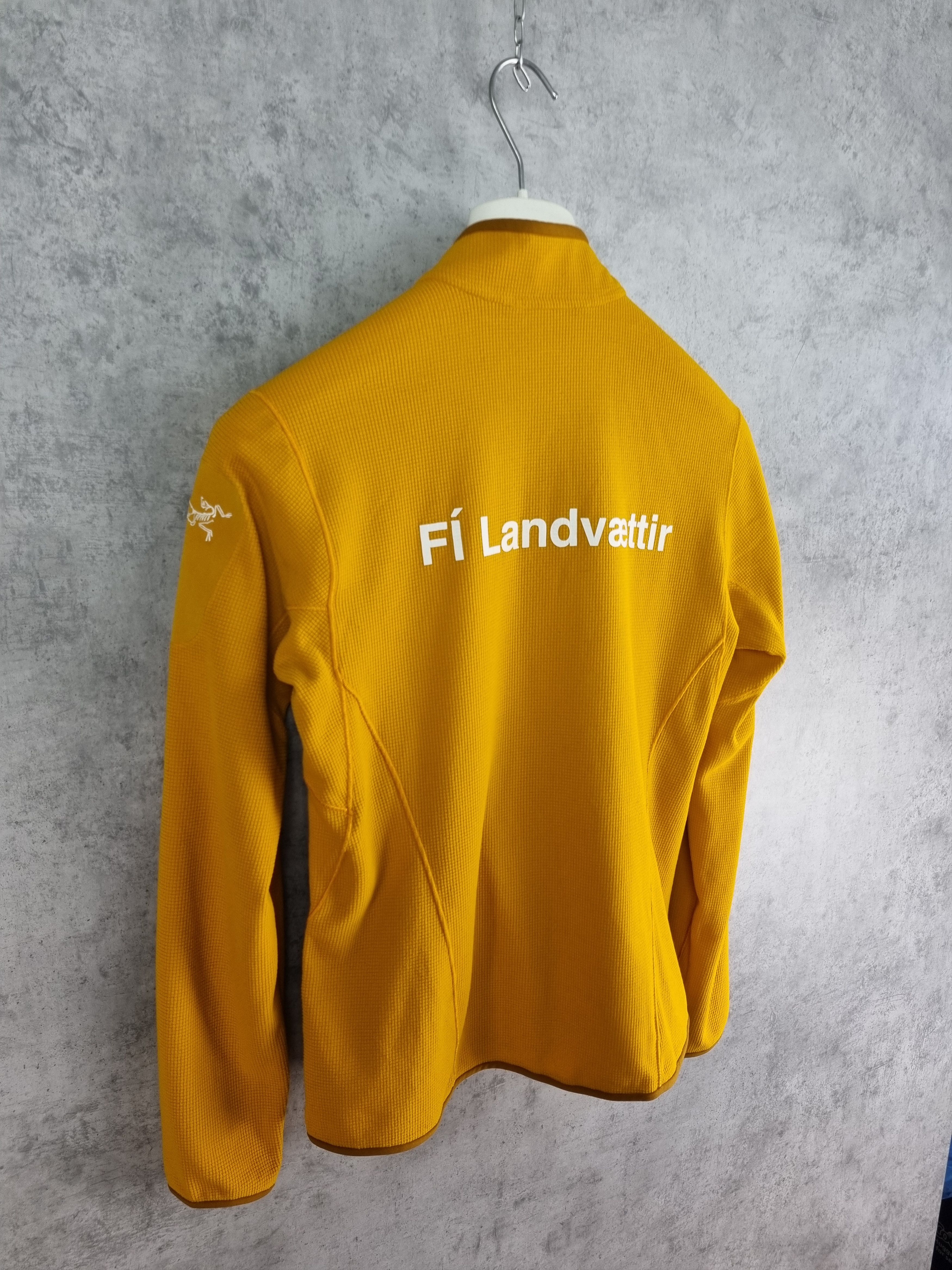 Arc'teryx × Polartec Arcteryx light Fleece Size US S / EU 44-46 / 1 - 3 Thumbnail