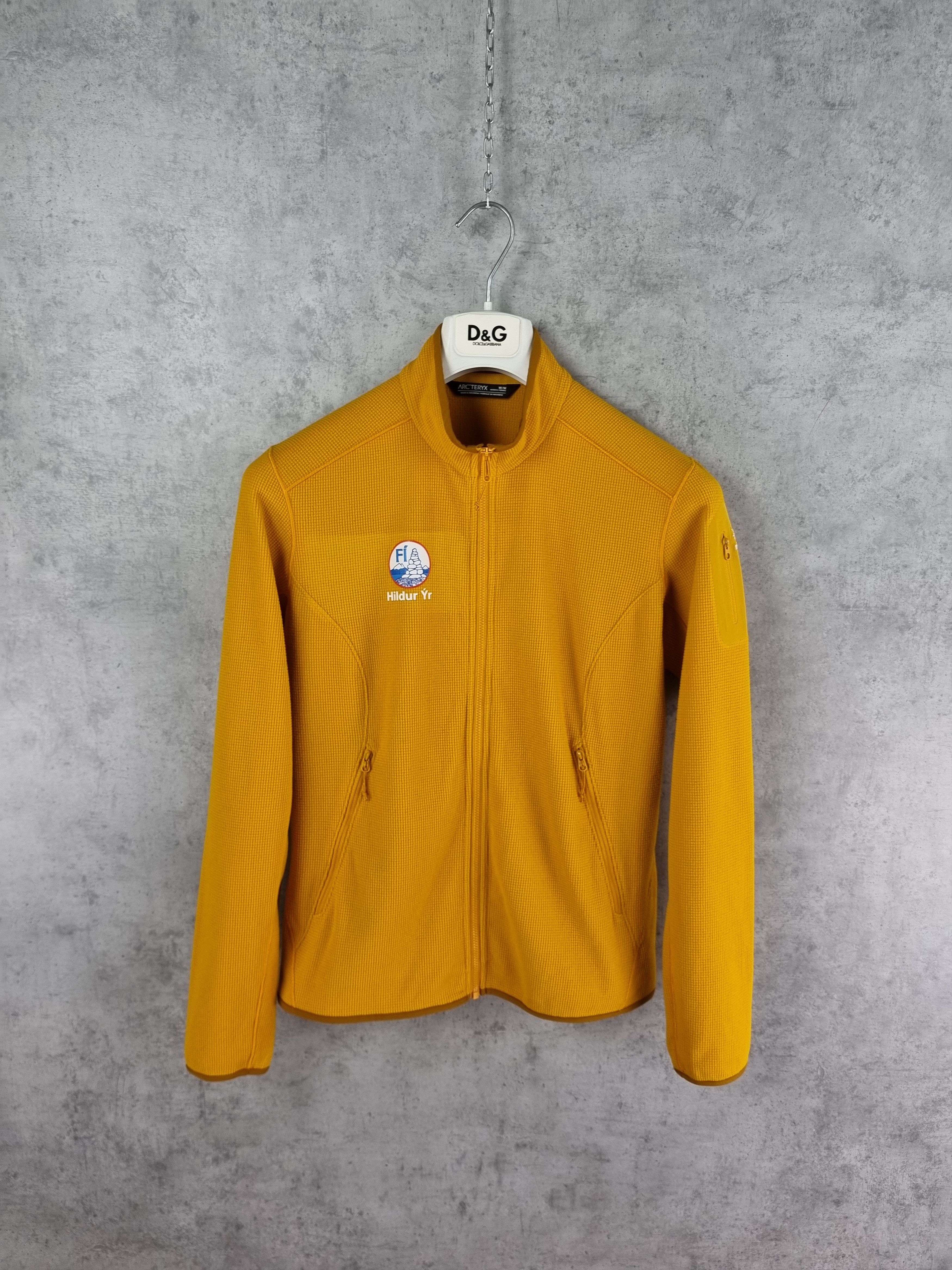 Arc'teryx × Polartec Arcteryx light Fleece Size US S / EU 44-46 / 1 - 17 Thumbnail