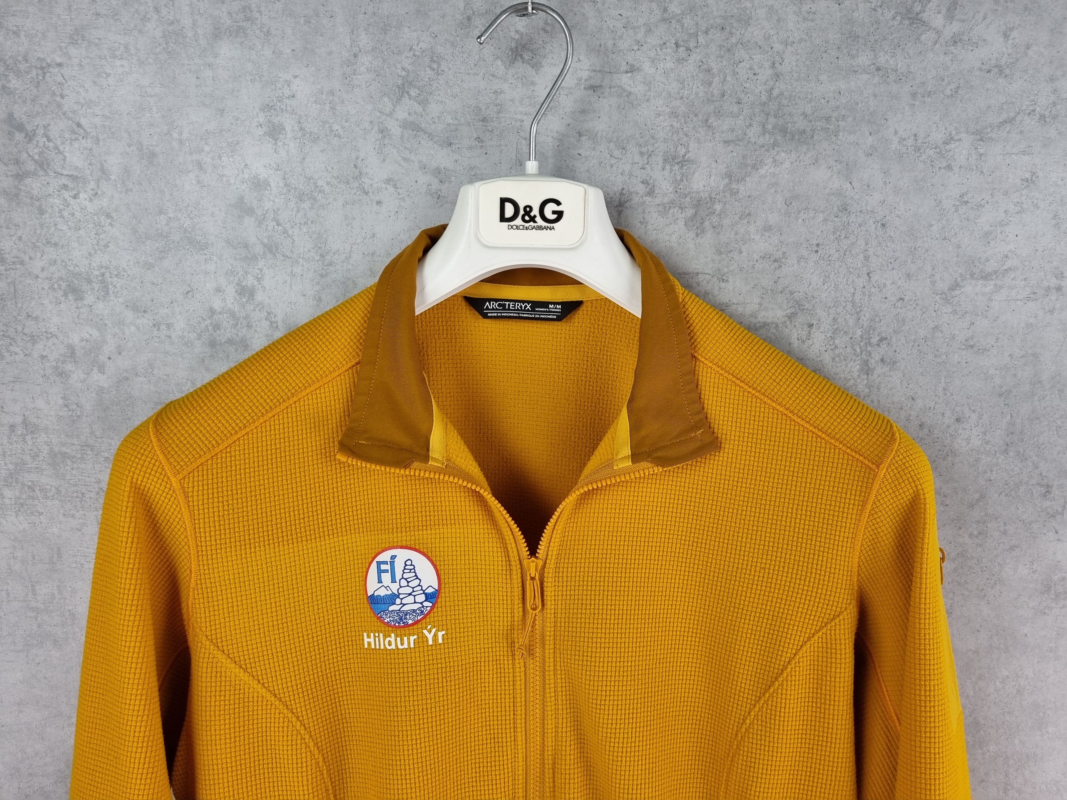 Arc'teryx × Polartec Arcteryx light Fleece Size US S / EU 44-46 / 1 - 7 Thumbnail