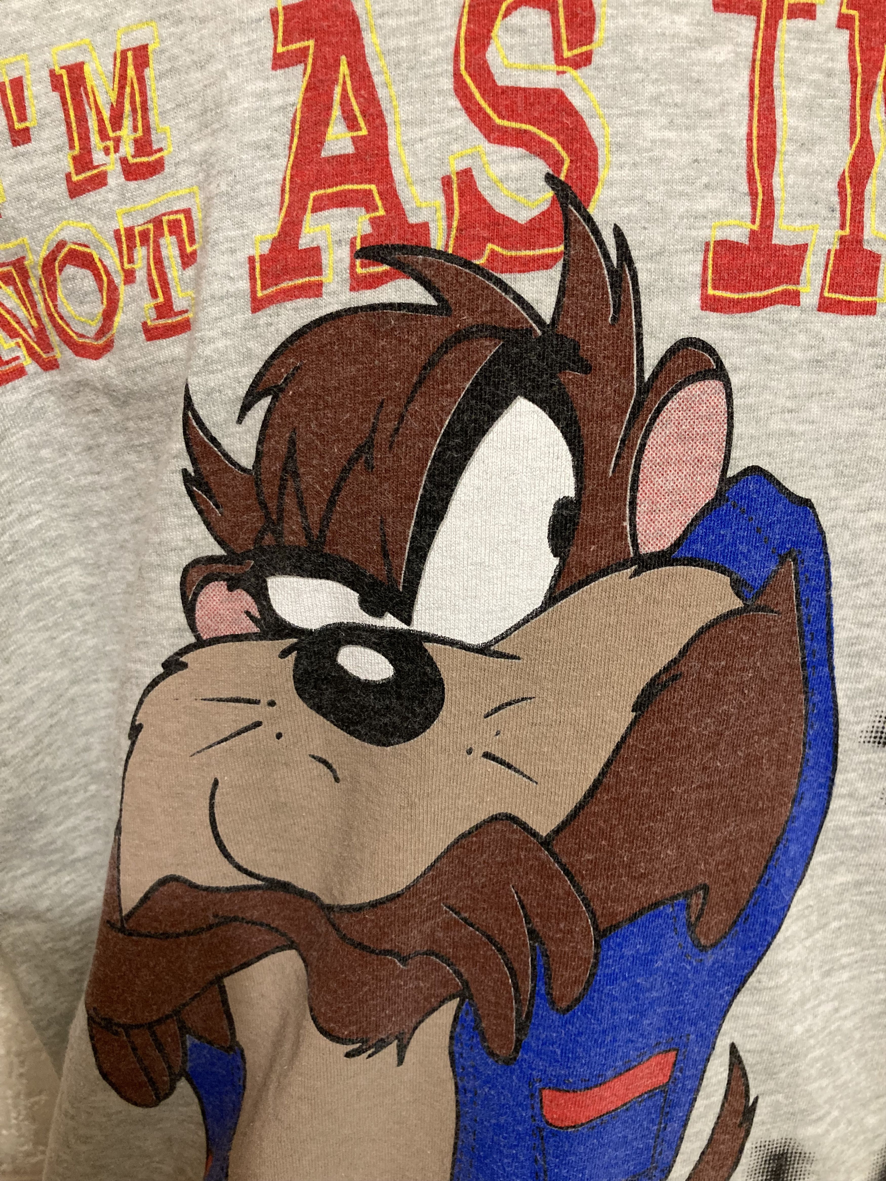 Vintage × Warner Bros Vintage 1995 Taz Tasmanian Devil USA Freeze NY Tee Size US XL / EU 56 / 4 - 7 Thumbnail