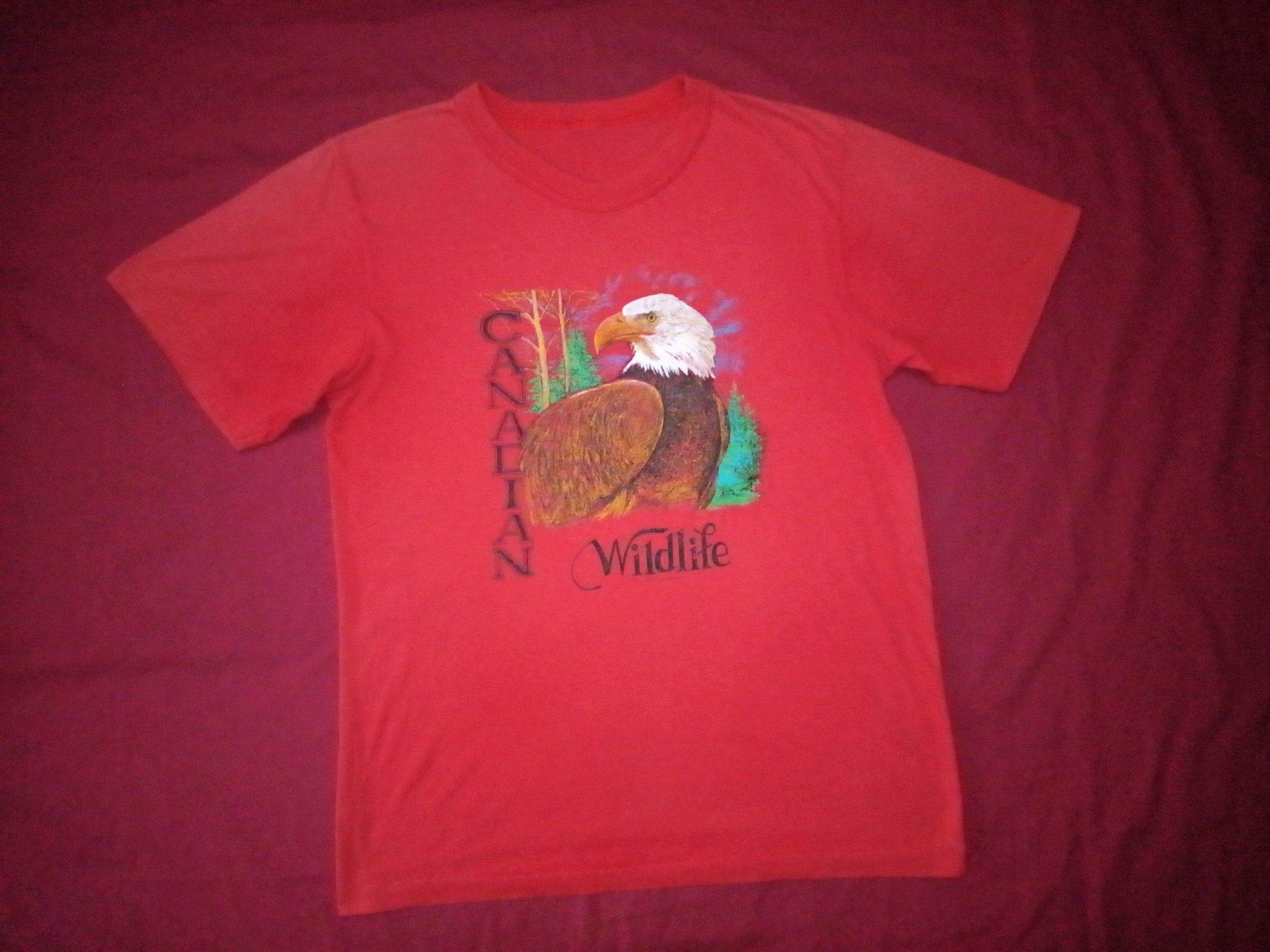 Vintage VTG Animal Eagle Canada Wildlife tshirt 80s vintage Size US M / EU 48-50 / 2 - 2 Thumbnail