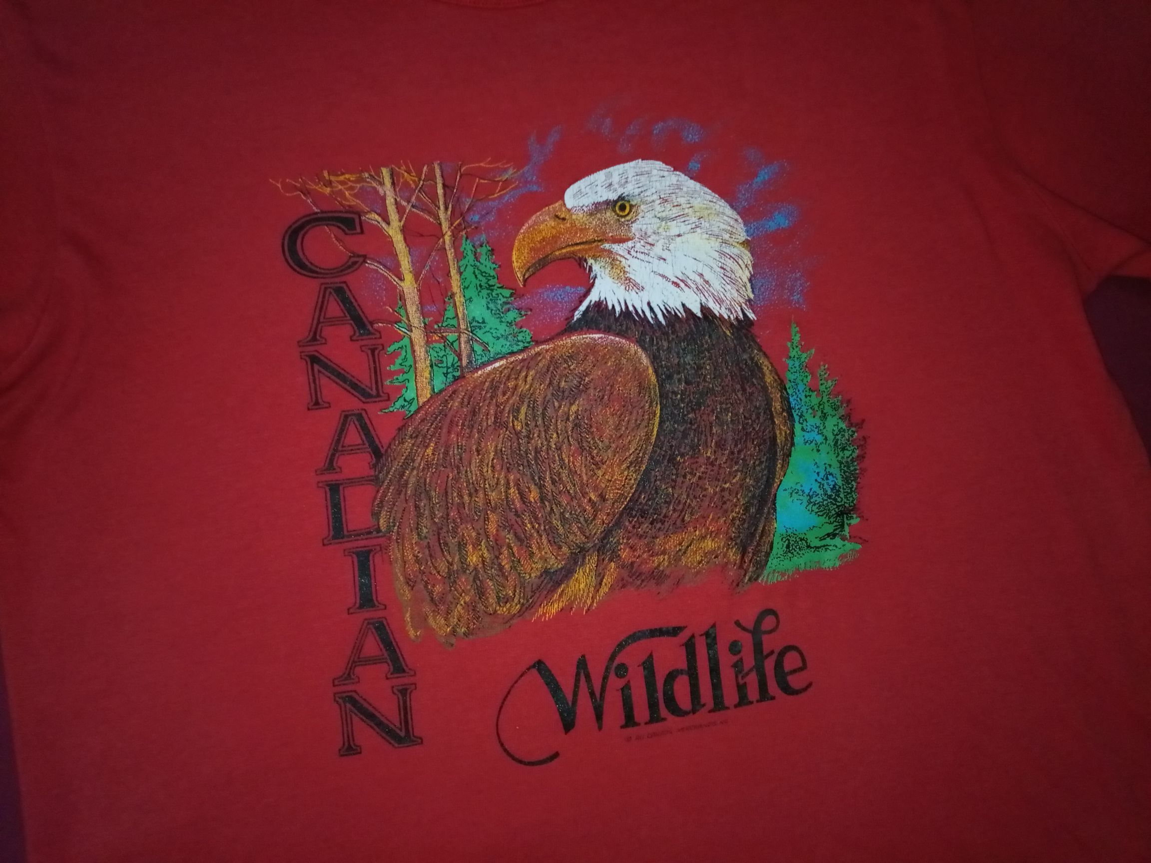Vintage VTG Animal Eagle Canada Wildlife tshirt 80s vintage Size US M / EU 48-50 / 2 - 1 Thumbnail