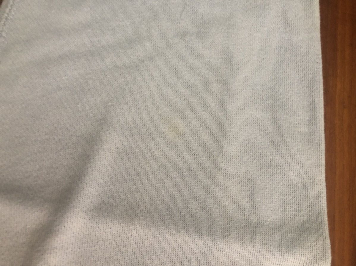 Bape Teriyaki Boyz baby blue hoodie tiger Size US L / EU 52-54 / 3 - 10 Thumbnail