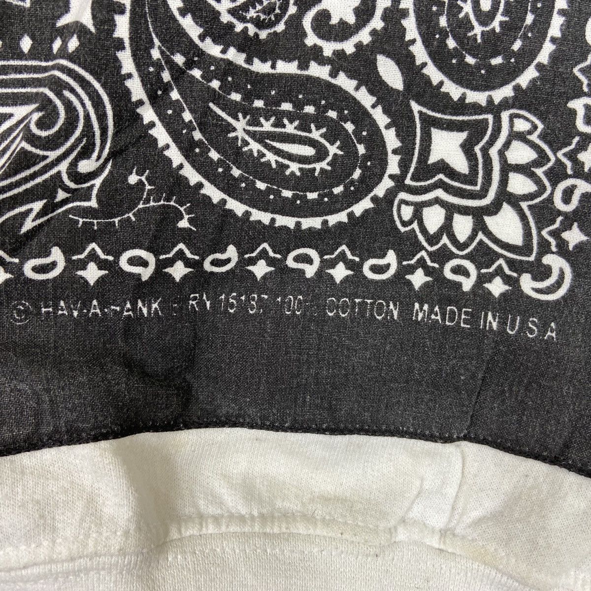 Champion x Hare Sweatshirt Badana Paisley Hava-Ank USA