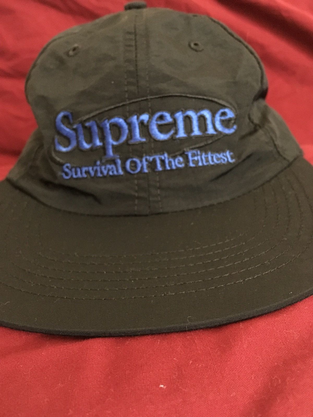 Supreme Survival Of The Fittest Supreme Hat Grailed