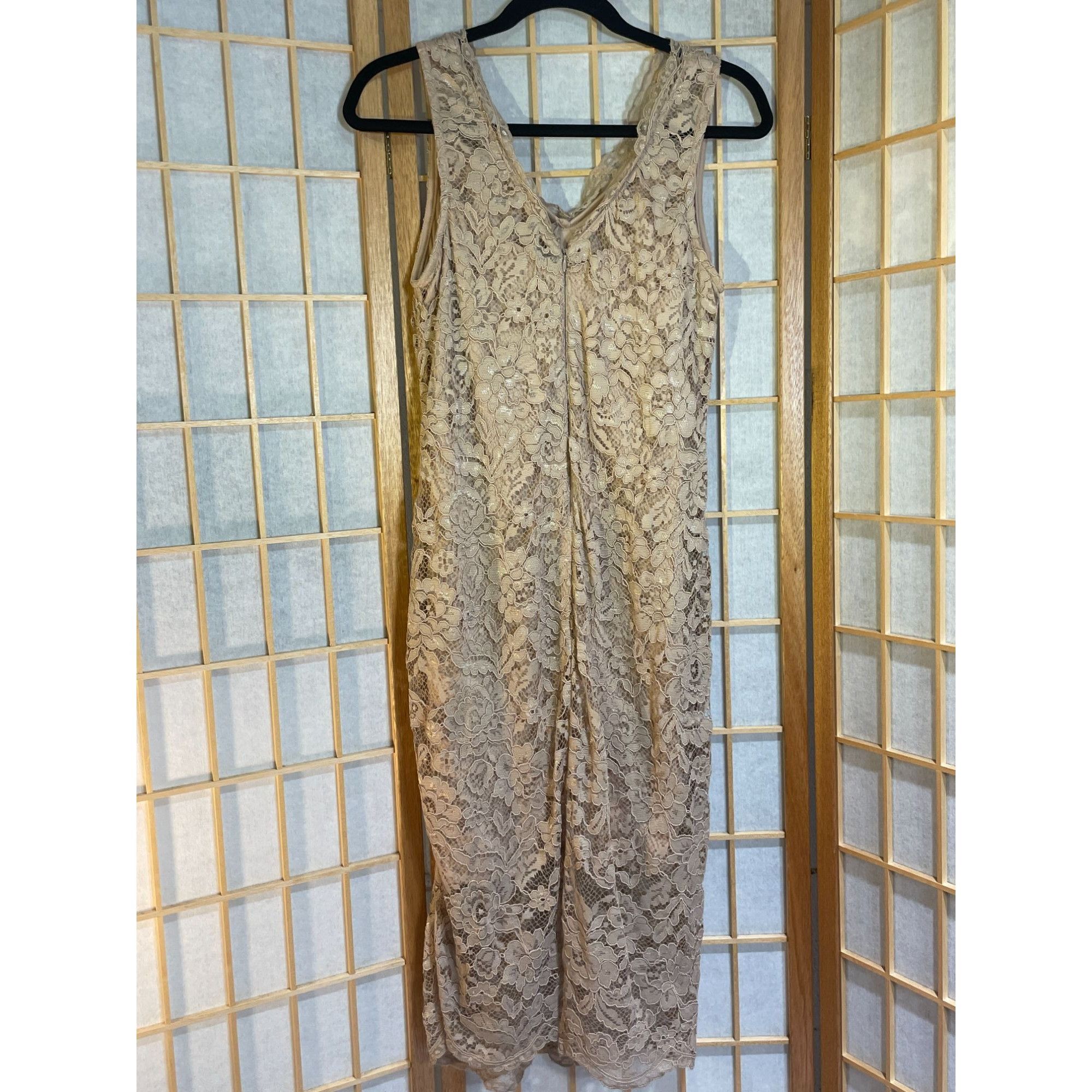 chinese dress ladies Sage Lace Mesh Overlay Maxi Dress – PinkBlush main image 0
