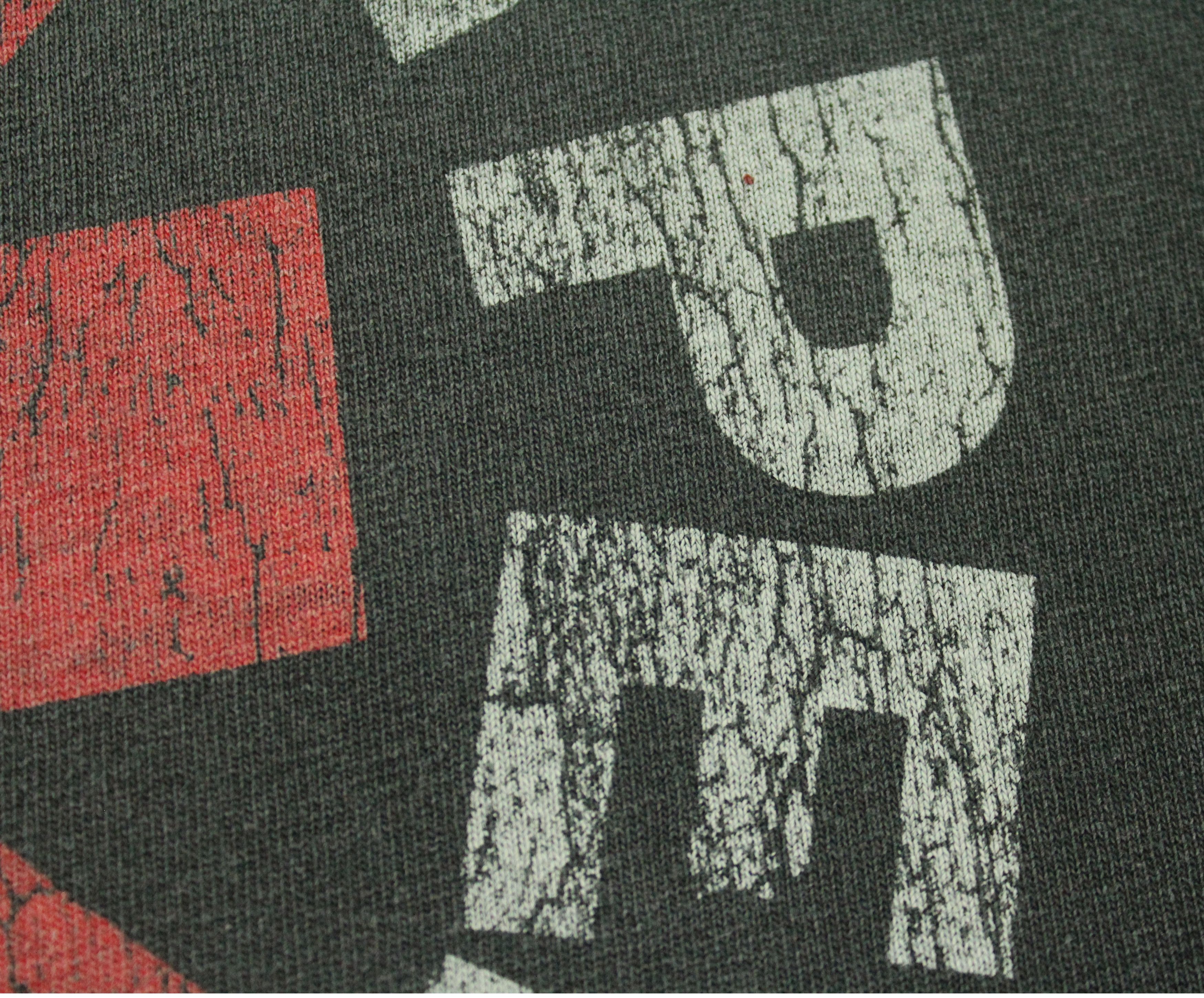 Band Tees RED HOT CHILI PEPPERS T Shirt Faded Black Size US L / EU 52-54 / 3 - 8 Thumbnail