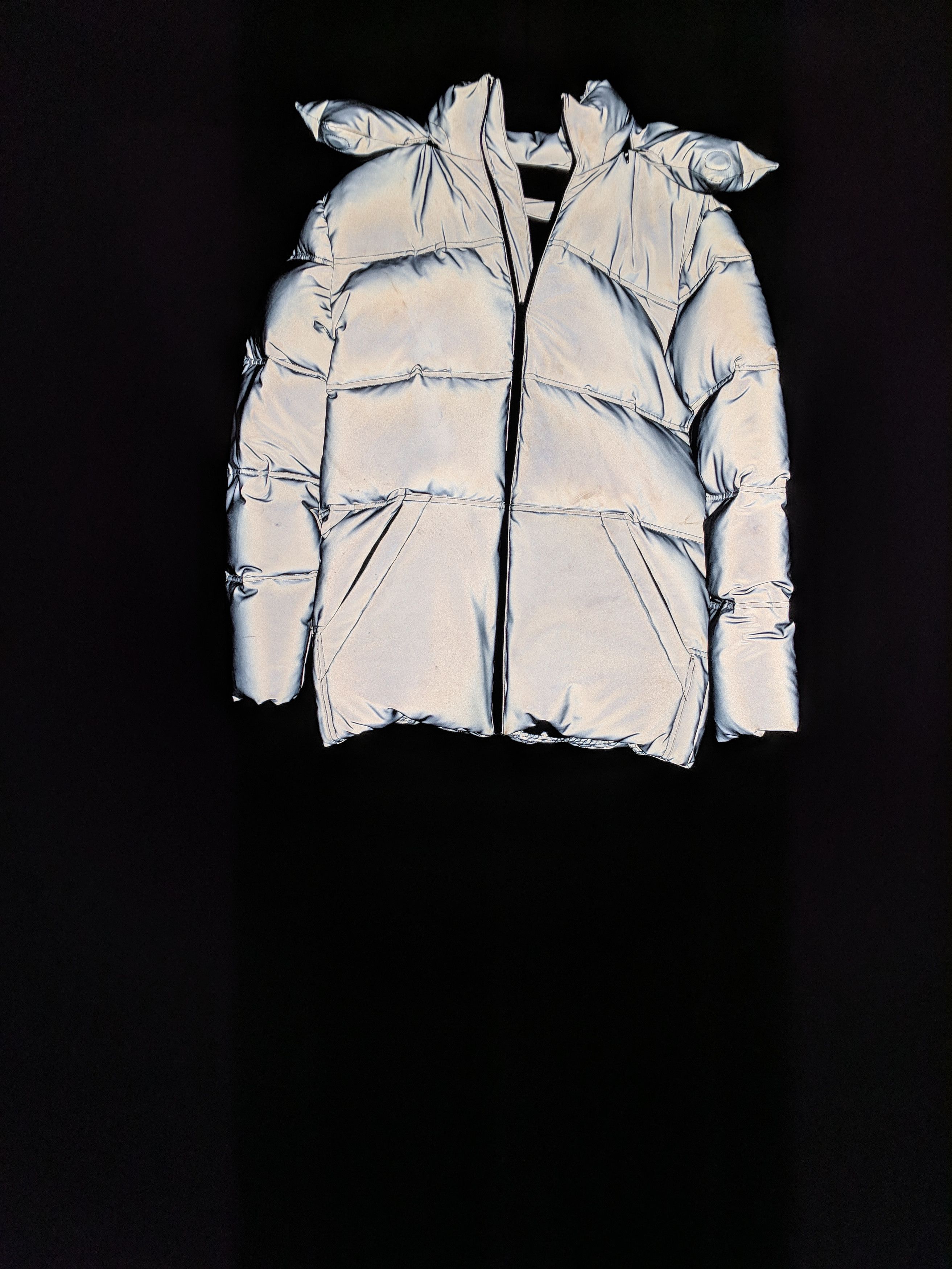 Alexander Wang Alexander Wang x H M Reflective Down Jacket Grailed