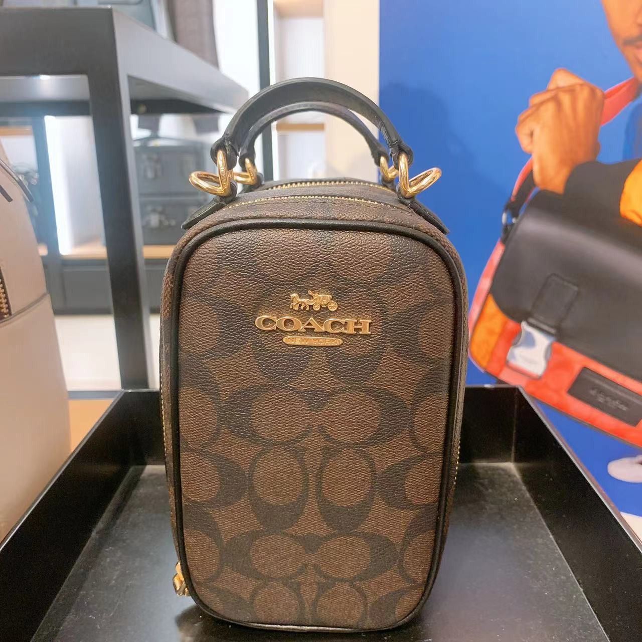 Eva Phone Crossbody In Signature Canvas