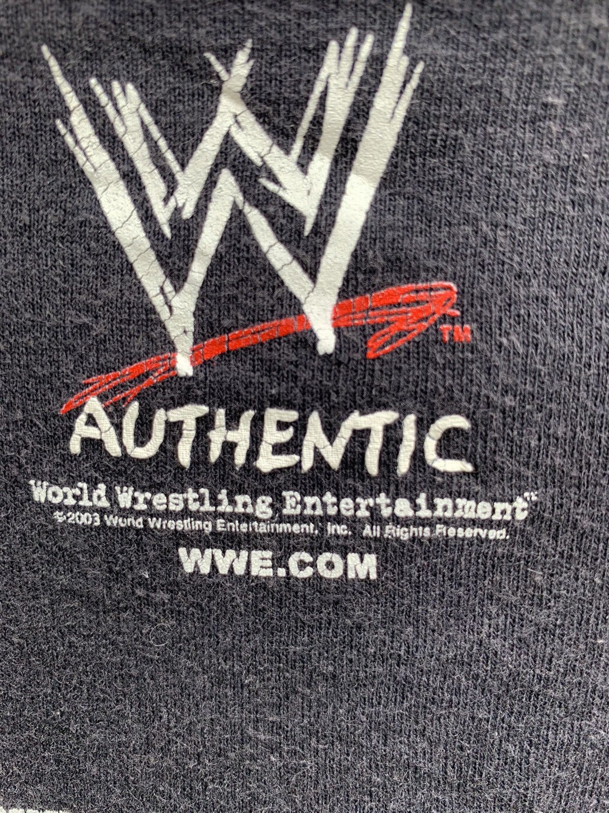 Vintage Vintage Big Evil Pain Sin-Dicate WWE T Shirt Size US L / EU 52-54 / 3 - 10 Thumbnail