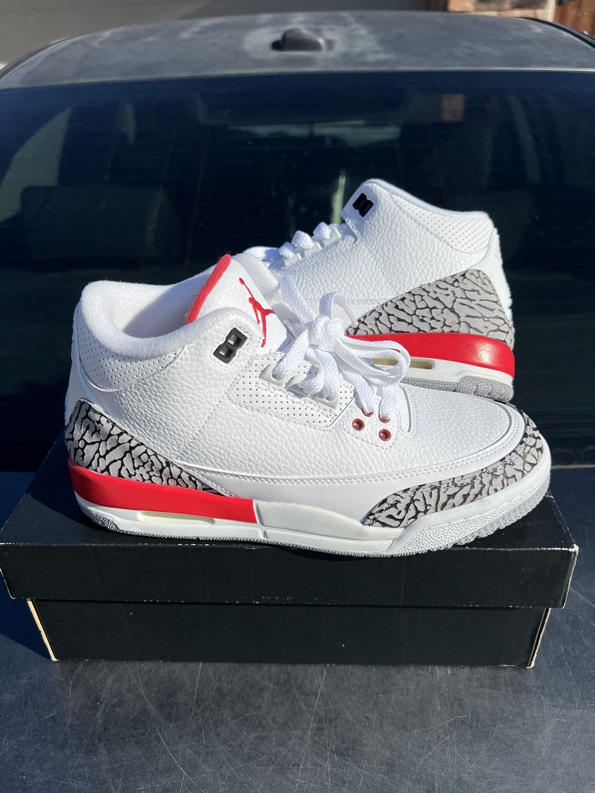 jordan hall of fame 3s