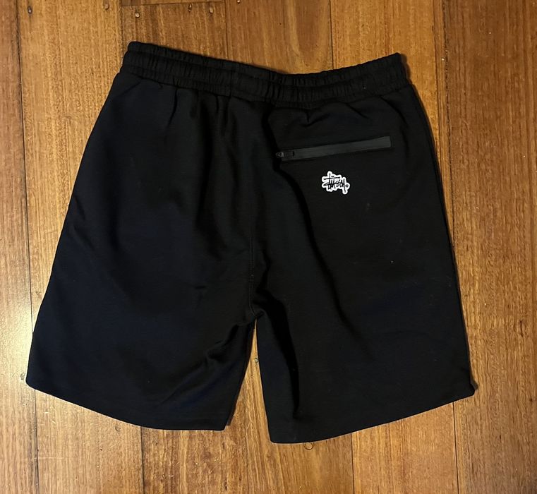 stussy shorts