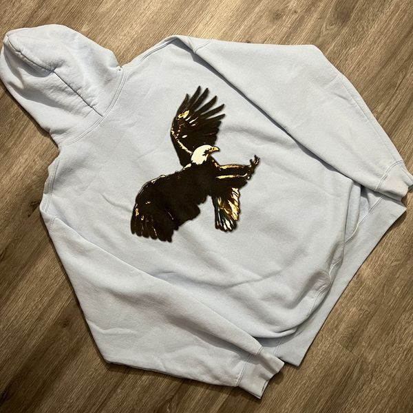 Birds in the store trap sing mcknight hoodie