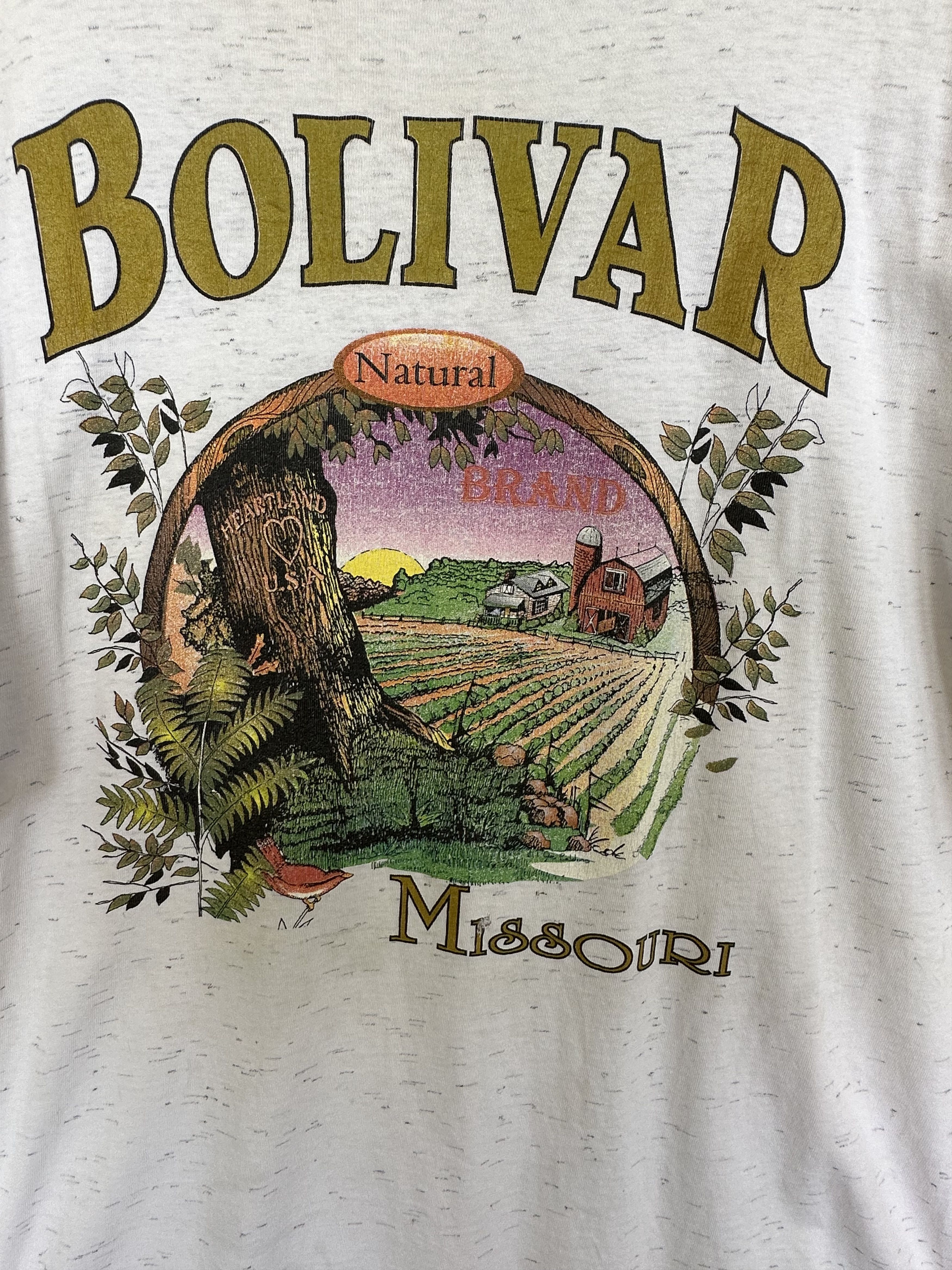 The Mountain Vintage 90s Bolivar Missouri Natural Brand T-Shirt Size US XL / EU 56 / 4 - 3 Thumbnail